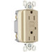 15Amp GFCI in Ivory