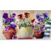 Potted Pansies Doormat