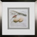 Sea Glass 1 Framed Print