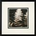 Moonglow 4 Framed Print
