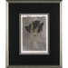 Silver Stem 2 Framed Print