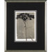 Silver Stem 4 Framed Print