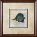 Tropical Fish 4 Framed Print - 21"x 21"