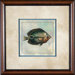 Tropical Fish 6 Framed Print - 21"x 21"