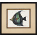 Tropical Fish 8 Framed Print