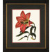 Red Lily 2 Framed Print