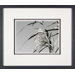 Grass in the Wind 2 Framed Print