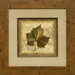 Rustic Leaves 1 (Maple) Framed Print