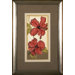 Hibiscus 3 Framed Print