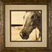 Portrait of a Horse Framed Print