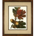 Large White Oak Framed Print