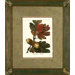 White Oak Framed Print