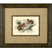 Squirrel Framed Print