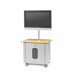 Cabinet Flat Panel Cart with 72" H (42" - 61" Screens)