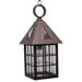 Kiss Series 1 Light Outdoor / Indoor Hanging Lantern