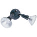 Standard 2 Light  Outdoor Flood Light