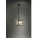 Williams 13.5" Three Candelabra Sockets Hanging Lantern