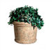 Milan 24" Round Pot Planter