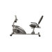 900XL Extended Capacity Recumbent Bike with Pulse