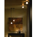 Wren 1 Light Semi Flush Mount