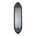 Morrison Mirror with Black Accents in Rust