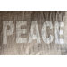 Love and Peace Standard Shams (Set of 2)