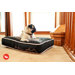 Cosmopolitan "SF"yline Rectangular Dog Bed in Ivory Black / Tea Rose