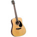 Bristol Dreadnaught Guitar