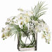 20" Phalaenopsis with Glass Vase