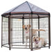 Pet Gazebo