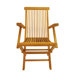 Classic Folding Armchair (Set of 2)
