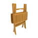 Windsor 24" Square Picnic Folding Table