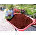 Coir Brick (650g)