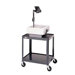 Pixmobile Projection Cart With 18" x 24" Shelf [17", 26", 34", 42" Height]
