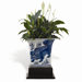 Chow Square Planter