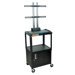 Adjustable Height Flat Panel Cart with Cabinet