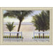 Palm Bay by Diane Romanello, Framed Print Art - 28.31" x 39.31"