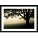 Shenandoah by Andy Magee, Framed Print Art - 26.19" x 36.19"