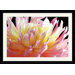 Dahlia by Amalia Veralli Framed Fine Art Print - 30.49" x 42.49"