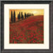 Poppies by Steve Thoms Framed Art Print - 18.18" x 18.18"