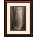 Cypress Trail Framed Print by Paul Kozal