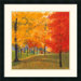Bright Autumn Day II Framed Print by Lynn Krause
