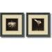 Flower Series Framed Print by Walter Gritsik (Set of 2)