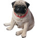 Life Size Sitting Pug Sculpture in Fawn