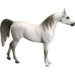 Original Size Arabian Horse Sculpture
