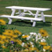 Picnic Table with Bench
