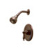 Wellington Single Dual Function Shower Faucet