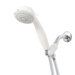 Five Setting Hand Shower