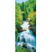 Ideal Decor Wonderfall Wall Mural