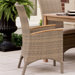 Torbay Dining Arm Chairs (Set of 2)